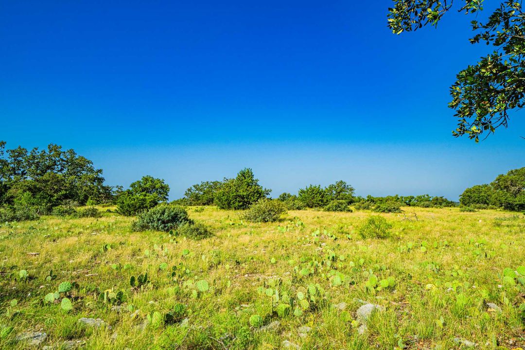 Menard County Twin Oaks Ranch S of Menard Texas Ranches For Sale